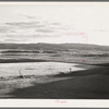 Range in the flood irrigation lands of the Little Colorado River Valley in Apache County near Springerville, Arizona