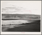 Range in the flood irrigation lands of the Little Colorado River Valley in Apache County near Springerville, Arizona