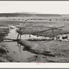 The start of flood irrigation on the hay fields in the valley of the Little Colorado River Valley