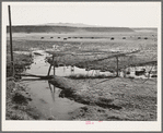 The start of flood irrigation on the hay fields in the valley of the Little Colorado River Valley