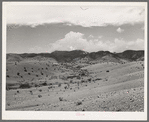 Early spring snowstorm over the mountains in Socorro County, New Mexico