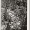 Gorge of the Carrizo Creek. Navajo County, Arizona