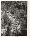 Gorge of the Carrizo Creek. Navajo County, Arizona