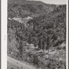 Gorge of Carrizo Creek. Navajo County, Arizona