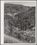 Gorge of Carrizo Creek. Navajo County, Arizona