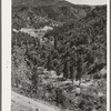 Gorge of Carrizo Creek. Navajo County, Arizona