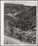 Gorge of Carrizo Creek. Navajo County, Arizona