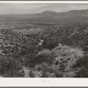 Desert scene along the Apache Trail. Gila County, Arizona