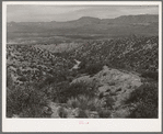 Desert scene along the Apache Trail. Gila County, Arizona