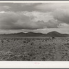 The desert on a grey day. Socorro County, New Mexico