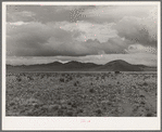 The desert on a grey day. Socorro County, New Mexico