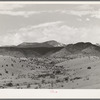 Desert wash with snow covered mountains in the background. Socorro County, New Mexico