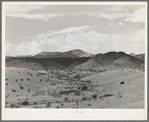 Desert wash with snow covered mountains in the background. Socorro County, New Mexico