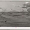 Springerville (vicinity), Apache County, Arizona. Valley floor of the Little Colorado River