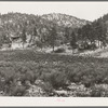 Snow in the mountains is a major source of water supply of the arid Southwest. White House Canyon, Catron County, New Mexico