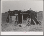 Chicken house of FSA (Farm Security Administration) rehabilitation borrower in Maricopa County, Arizona