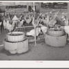 Drinking fountains for chickens on the Arizona part-time farms. Chandler Unit, Maricopa County, Arizona