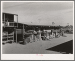 A complete line of cut lumber is carried by the United Producers and Consumers Cooperative at Phoenix, Arizona