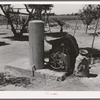 Electric pump system and wet cloth-covered milk can on farm of FSA (Farm Security Administration) rehabilitation borrower. Maricopa County, Arizona
