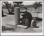 Electric pump system and wet cloth-covered milk can on farm of FSA (Farm Security Administration) rehabilitation borrower. Maricopa County, Arizona