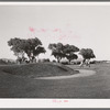 Municipal golf course. Phoenix, Arizona