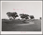 Municipal golf course. Phoenix, Arizona