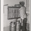 Member of the Arizona part-time farms, Chandler Unit, cooling milk at the dairy of the farm. Maricopa County, Arizona