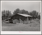 Barn on farm of tenant purchase client in Maricopa County, Arizona