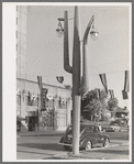 Cactus light standard in front of hotel in Phoenix, Arizona