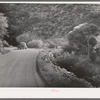 Scene along the Apache Trail between Globe and Phoenix. Apache County, Arizona