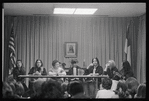 NOW panel on Lesbianism and Women's Liberation