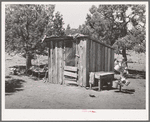 Shed on the homestead farm of Faro Caudill. Pie Town, New Mexico