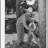 Faro Caudill's father sharpening his knife. This man was a cowboy and rancher in the section before the homesteaders came in. Pie Town, New Mexico