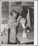 Mrs. Faro Caudill straining milk. Every farmer has milk cows for his own use and sells cream to the creamery at Socorro