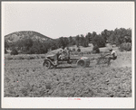 Tractor adapted from truck on farm at Pie Town, New Mexico