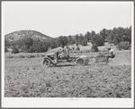 Tractor adapted from truck on farm at Pie Town, New Mexico