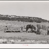 Faro Caudill drawing water. He will haul to his house. About a week after this picture was taken, Caudill tore down his original dugout and rebuilt it near this well. Pie Town, New Mexico