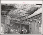 Detail of window and ceiling in dugout of Faro Caudill. Pie Town, New Mexico