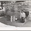 Faro Caudill, homesteader, coming up out of his dugout. Pie Town, New Mexico