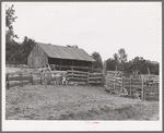 Slab fence and barn of homesteader at Pie Town, New Mexico