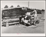 Mr. and Mrs. Caudill moving furniture from their dugout. Pie Town, New Mexico