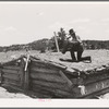 Pie Town, New Mexico. A community settled by about 200 migrant Texas and Oklahoma farmers who filed homestead claims. Faro Caudill taking down the chimney from his dugout before he tears down the dugout