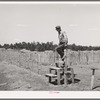 Farmer coming across stile on his farm. Pie Town, New Mexico