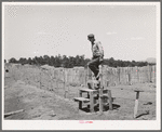 Farmer coming across stile on his farm. Pie Town, New Mexico