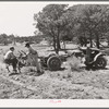 Farmer and his younger brother with tractor which has been adapted from truck. Pie Town, New Mexico