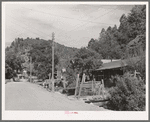 Street scene, Mogollon, New Mexico, second largest gold mining town in the state