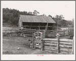 Fence, gate, and barn made of slabs on homesteader's farm. Pie Town, New Mexico