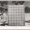 Mrs. Bill Stagg with state quilt she made. Mrs. Stagg helps her husband in the fields with plowing, planting, and weeding corn and harvesting beans, and quilts while she rests during the noon hour. Pie Town, New Mexico