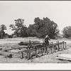 George Hutton working at the small sawmill which he built on his homestead farm. This sawmill serves not only his own needs, but many neighbors also use it. Pie Town, New Mexico