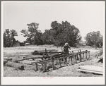 George Hutton working at the small sawmill which he built on his homestead farm. This sawmill serves not only his own needs, but many neighbors also use it. Pie Town, New Mexico